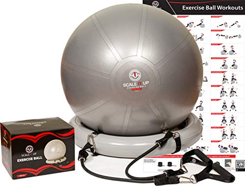 Scale It Up 65cm Exercise Ball Chair Set With 15lb Resistance