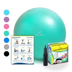 Exercise Ball – Professional Grade Anti-Burst Fitness, Balance Ball for Pilates, Yoga, Bir ...