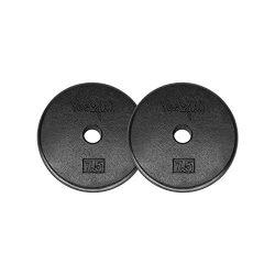 Yes4All 1-inch Cast Iron Weight Plates for Dumbbells – Standard Weight Disc Plates (7.5 lb ...