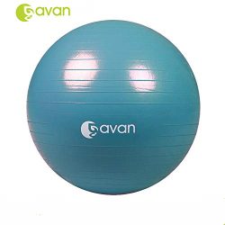 GAVAN 65cm Exercise Ball, for Fitness, Stability, Balance & Yoga – 2000LBS Anti Burst  ...