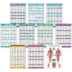 10 Pack – Exercise Workout Poster Set – Dumbbell, Suspension, Kettlebell, Resistance ...