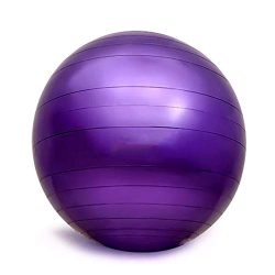 Yoga Fitness Ball Explosion-Proof Ball 55cm 65cm 75cm Yoga Ball Fitness Ball Home Gym Office for ...