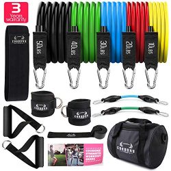 Resistance Bands Set Workout Bands, 5 Stackable Exercise Bands with Handles,1 Resistance Loop Ba ...