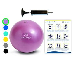 Mini Exercise Ball with Pump – 9 Inch Small Bender Ball for Stability, Barre, Pilates, Yog ...