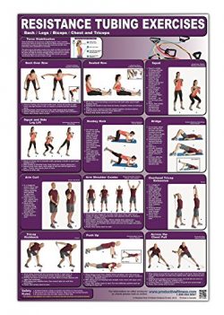 Resistance Tubing Exercises Poster/Chart -Back/Legs/Biceps/Chest & Triceps Laminated; – ...