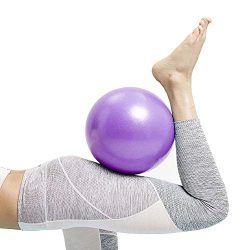 Mini Exercise Barre Ball, Gymnic Over Ball, Pilates Soft Ball for Core Training and Physical The ...