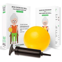 Healthy Seniors Chair Exercise Program with Mini Exercise Ball, Pump and Printed Exercise Guide. ...