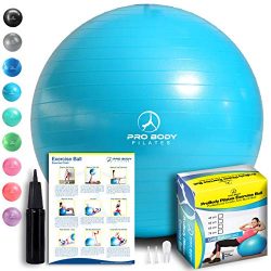 Exercise Ball – Professional Grade Anti-Burst Fitness, Balance Ball for Pilates, Yoga, Bir ...