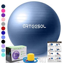 arteesol Exercise Yoga Ball, Extra Thick Stability Balance Ball (45-75cm), Professional Grade An ...