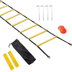 LADDING 20ft Agility Ladder Set with 12 Rungs,12 Sports Disc Cones, 4 Steel Stake,2 Resistance B ...