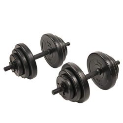 Sunny Health & Fitness Exercise Vinyl 40 Lb Dumbbell Set Hand Weights for Strength Training, ...