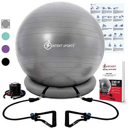 INTENT SPORTS Ball with Base, Exercise Balance Ball (Gray)