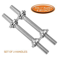 Threaded Dumbbell Handles by Day 1 Fitness, Set of 2, with Star Collars, Fits 1″ Standard  ...