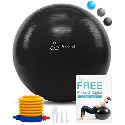 PHYLLEXI Exercise Yoga Ball – Pro Grade Anti-Burst Fitness Swiss Ball (55-85cm) for Gym, P ...