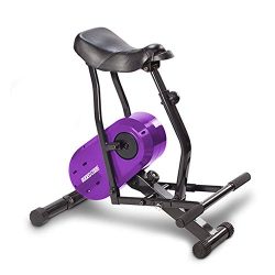 Daiwa Felicity Rodeo Core Compact Core Trainer Ab Workout Equipment for Leg Thighs Buttocks Calv ...