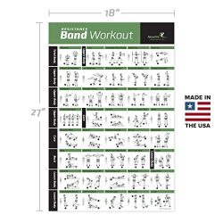 Resistance Band/Tube Exercise Poster Laminated – Total Body Workout Personal Trainer Fitne ...